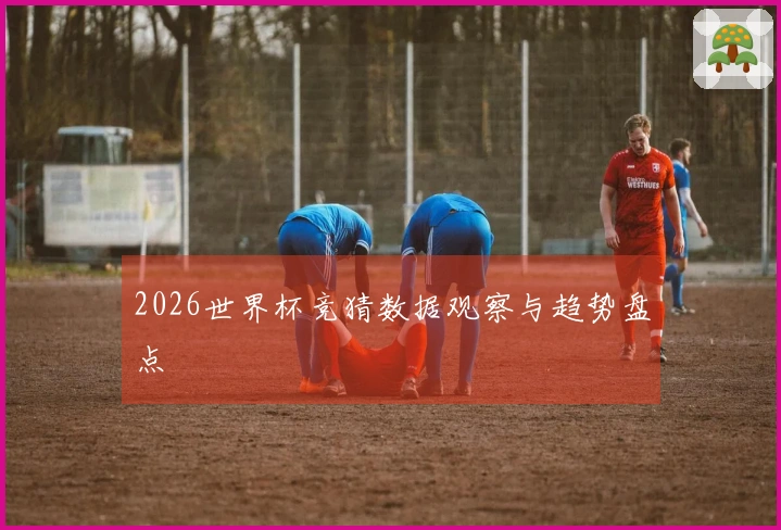 2026世界杯竞猜数据观察与趋势盘点