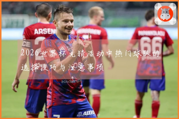 2026世界杯竞猜活动中热门球队的选择技巧与注意事项