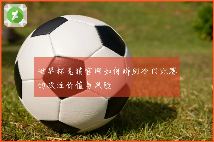 世界杯竞猜官网如何辨别冷门比赛的投注价值与风险